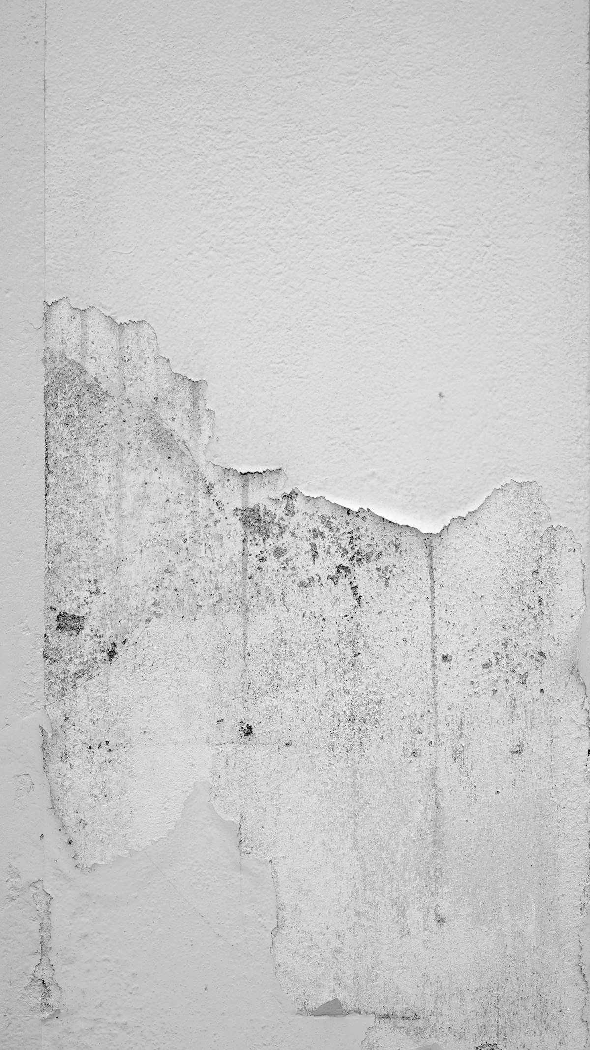 Water-damaged, mold-prone wall before remediation