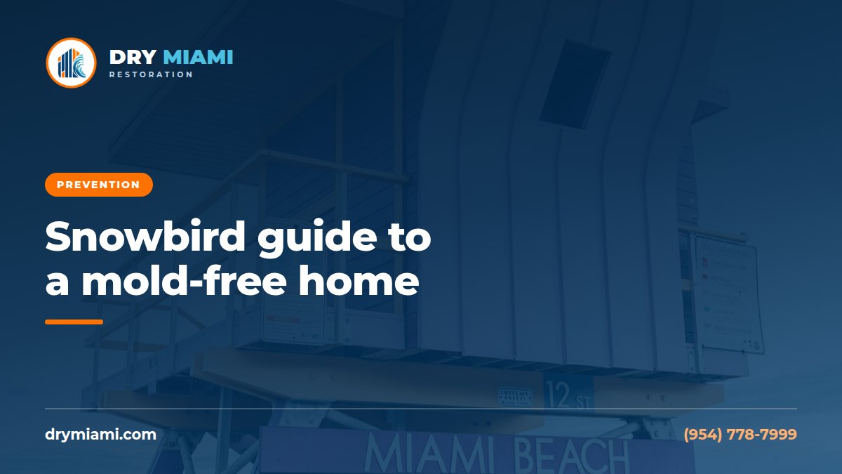 Snowbird Guide: Preventing Mold in a Seasonal Florida Home