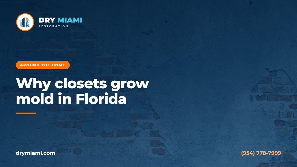Closet Mold in Florida: Why It Happens and How to Stop It