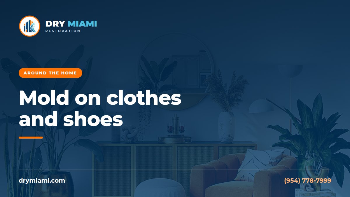 Mold on Clothes, Shoes and Leather in Humid Climates