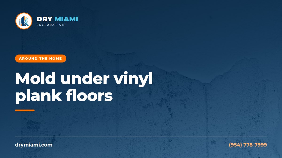Mold Under Vinyl Plank and Laminate: How Moisture Gets Trapped