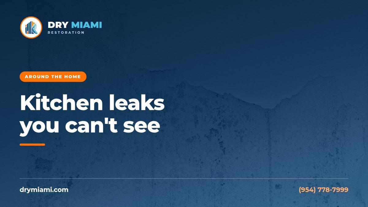 Kitchen Mold: Dishwasher, Fridge Line and Sink Leaks You Miss