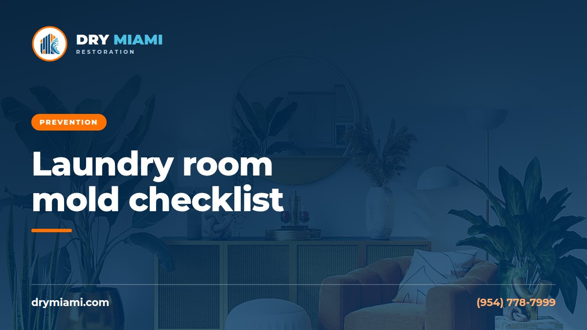 Washing Machine and Laundry Room Mold: Prevention Checklist