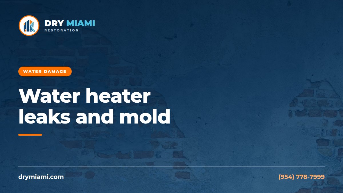Water Heater Leaks and Mold: Early Warning Signs