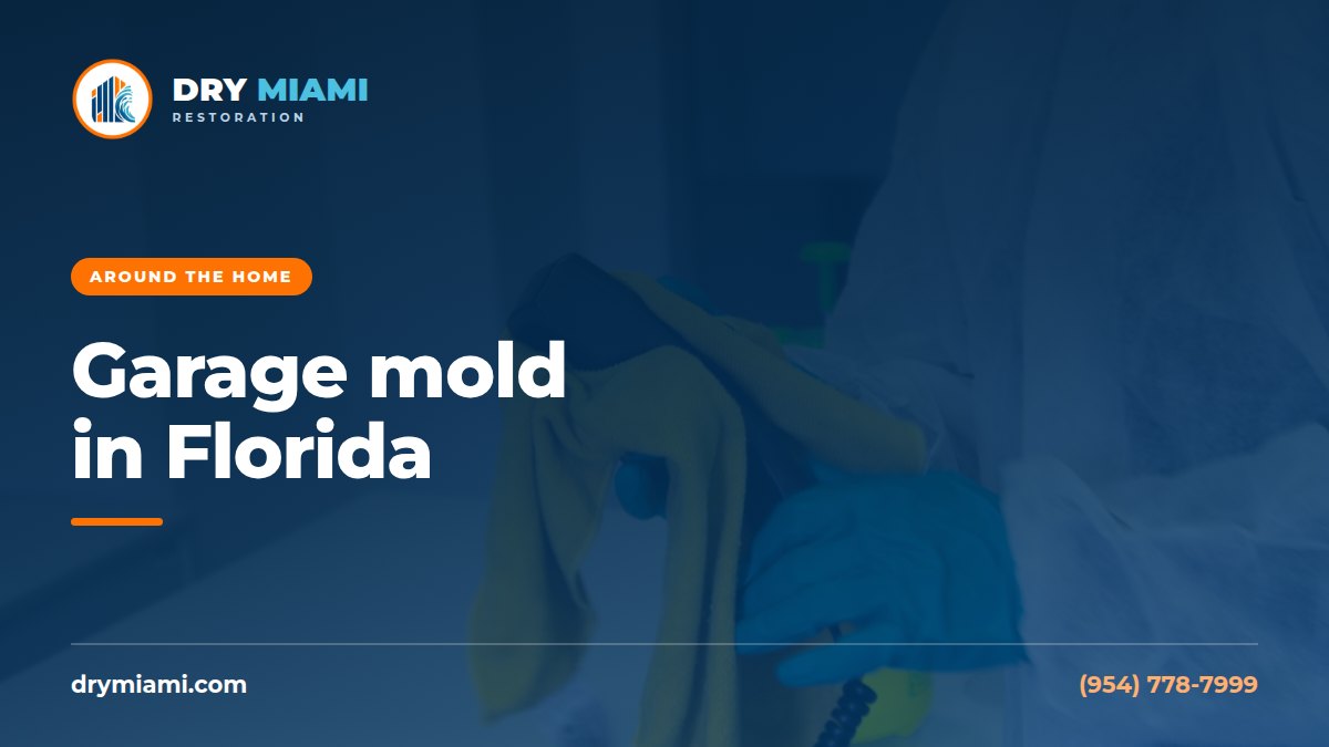 Garage Mold in Florida: Causes and Fixes