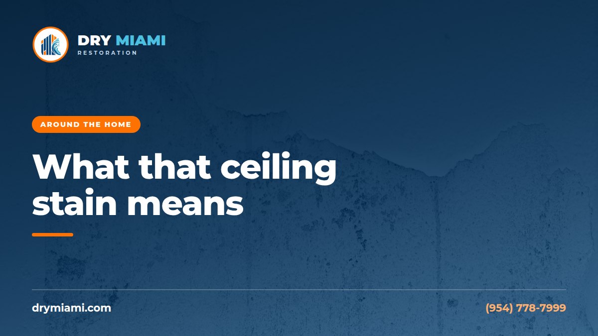 Mold on Ceilings: What the Stain Pattern Tells You