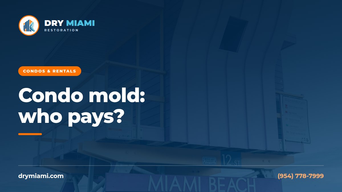 Mold in a Florida Condo: Who Pays, Owner or Association?