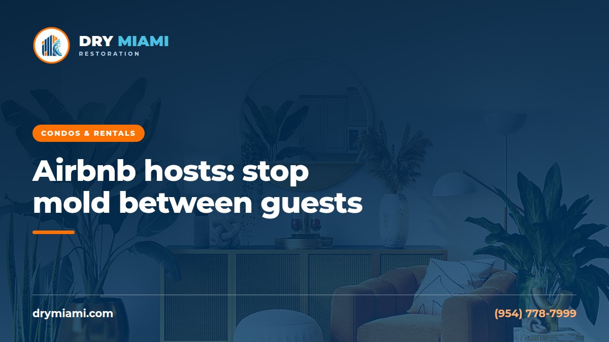 Airbnb Hosts in Miami: Preventing Mold Between Guests