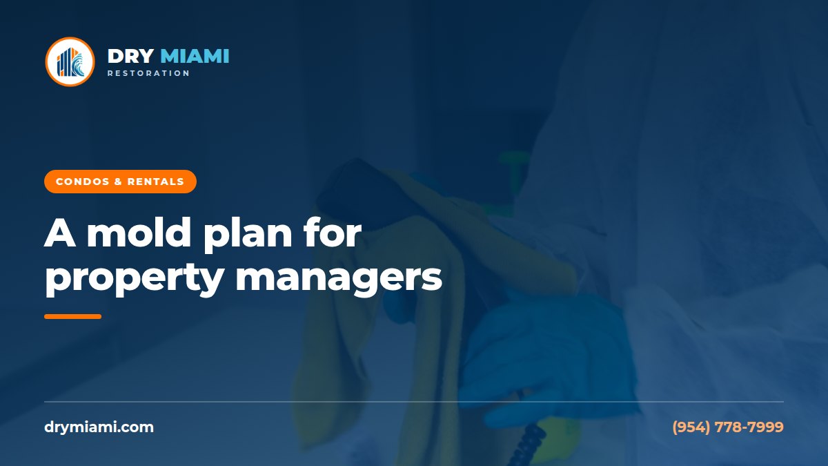 A Mold Response Plan for South Florida Property Managers