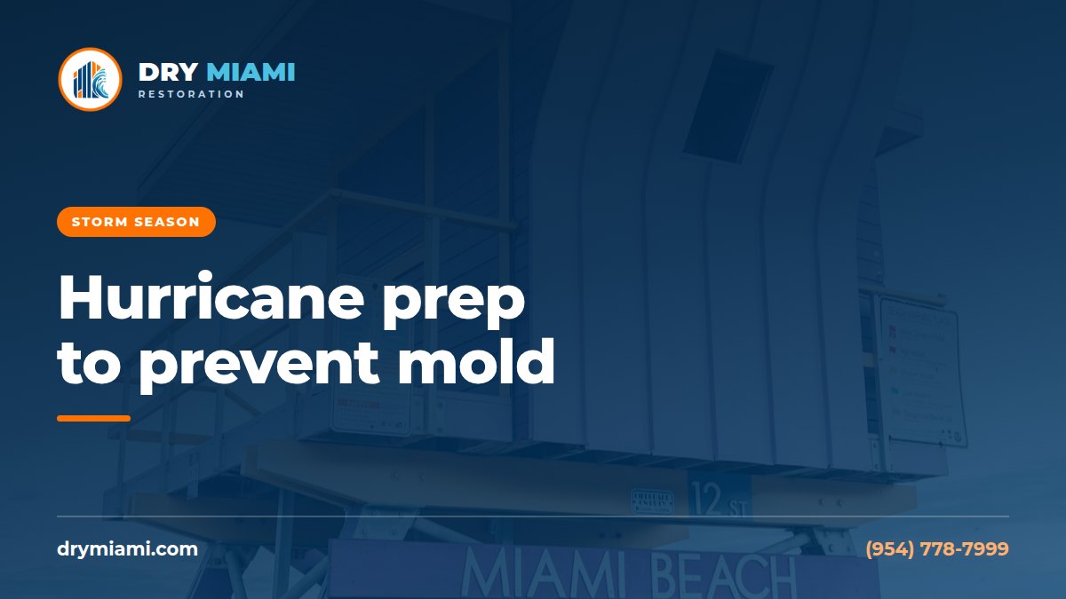 Hurricane Prep Checklist to Reduce Mold Risk After a Storm