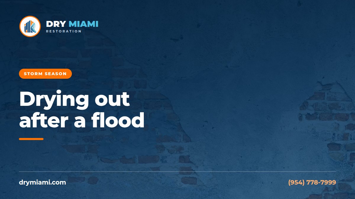 After the Storm: Drying Out a Flooded Florida Home Safely