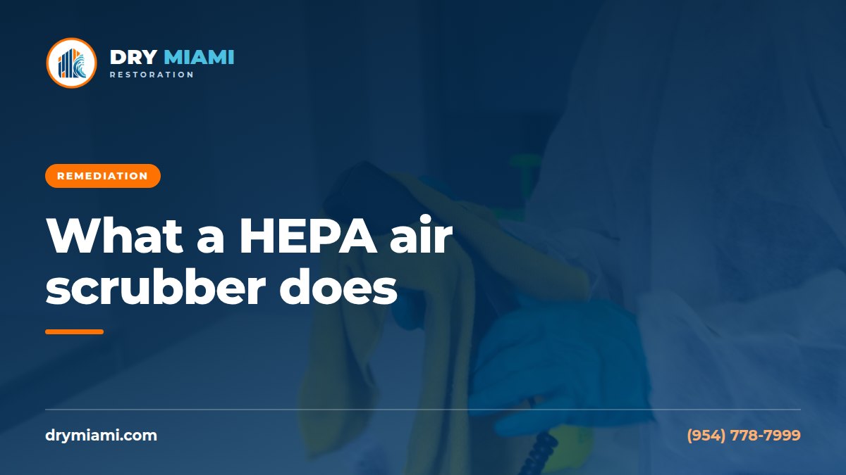 HEPA Air Scrubbers: What They Do During Mold Removal