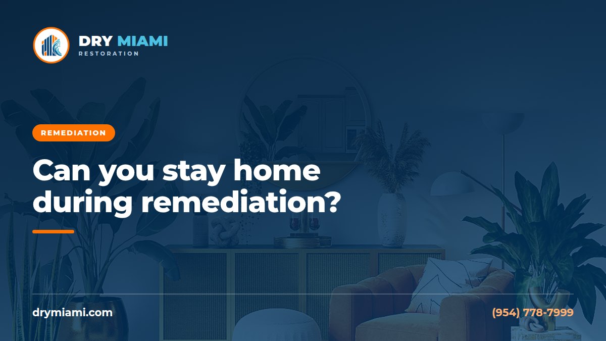 Can You Stay in Your Home During Mold Remediation?