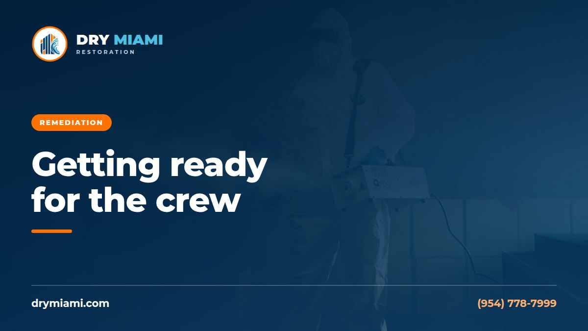How to Prepare Your Home for a Mold Remediation Crew