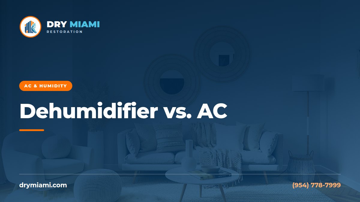 Dehumidifier vs. Air Conditioner: Which Controls Humidity?