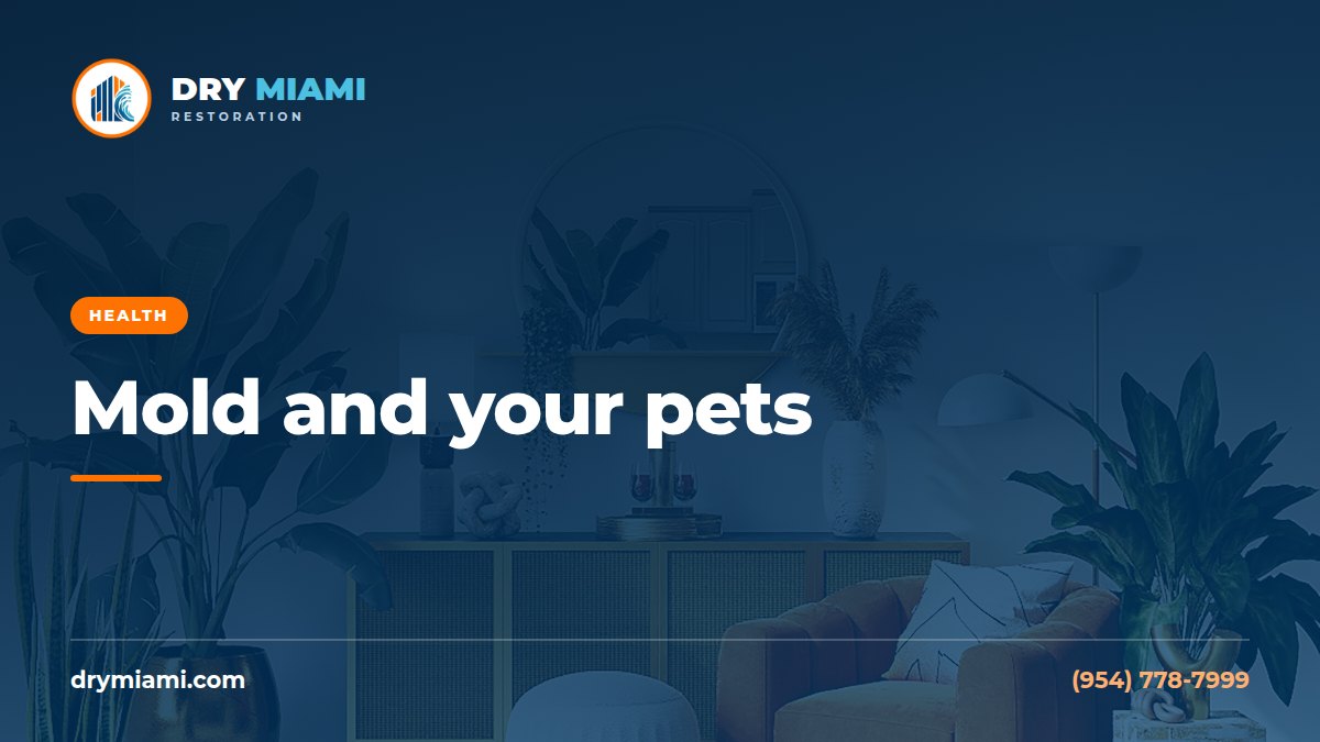 Mold and Pets: Signs to Watch for in Dogs and Cats