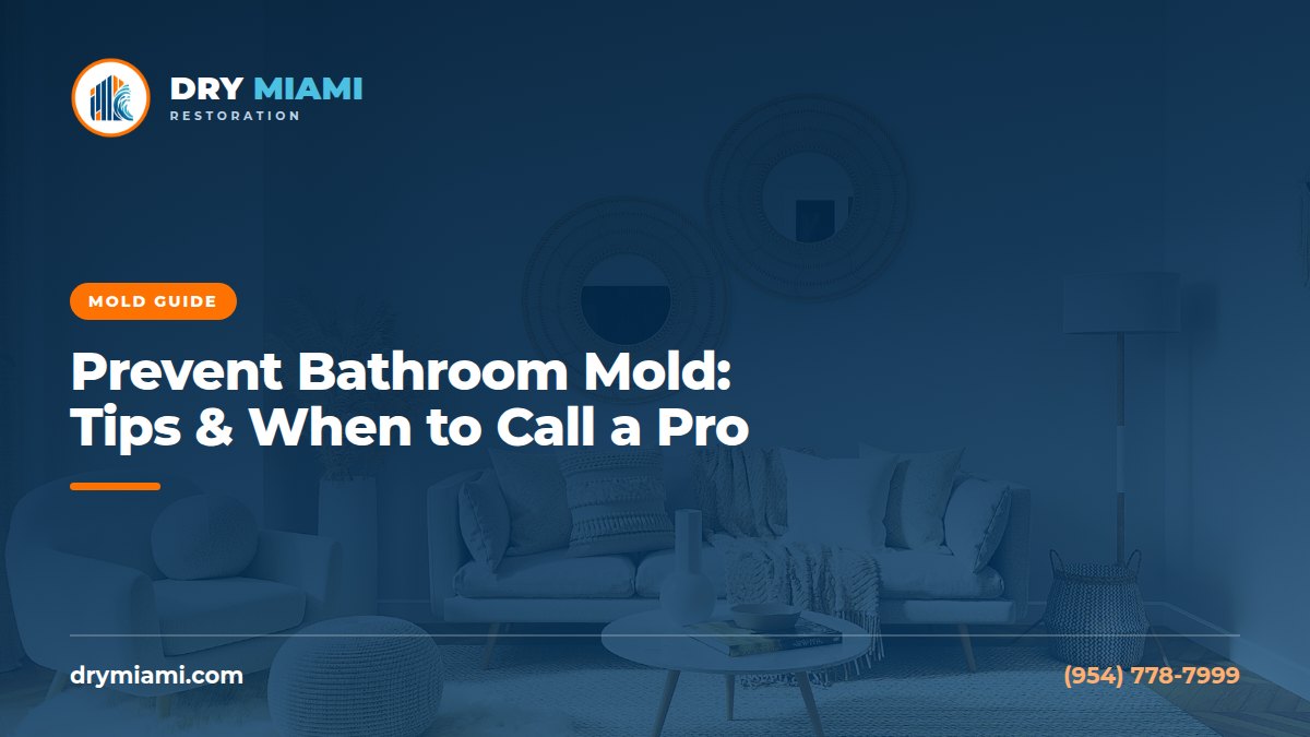 Prevent Bathroom Mold: Tips & When to Call a Pro