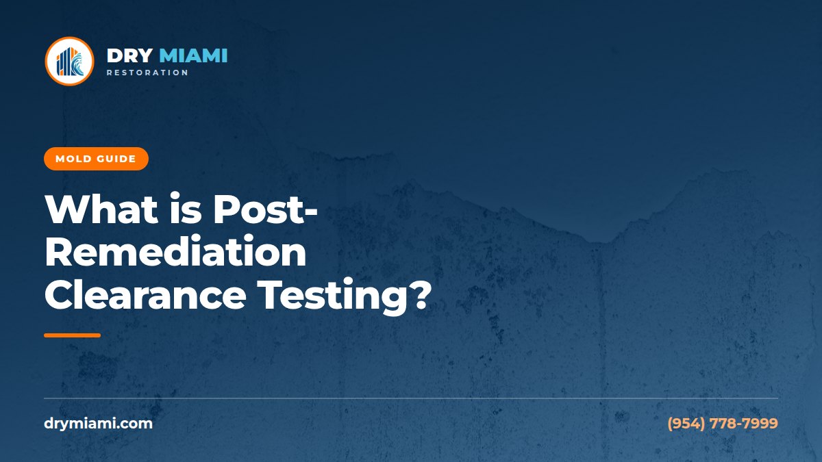 What is Post-Remediation Clearance Testing?