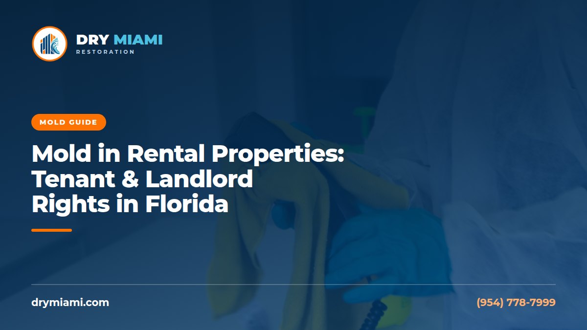 Mold in Rental Properties: Tenant & Landlord Rights in Florida