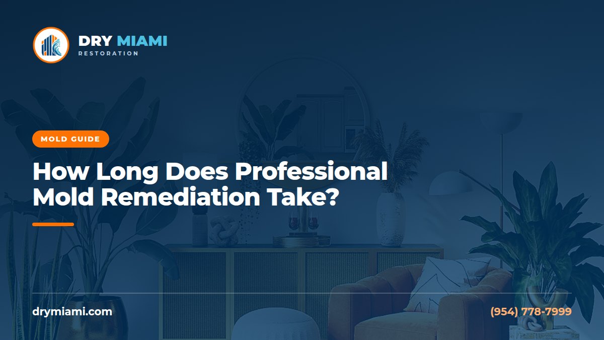 How Long Does Professional Mold Remediation Take?