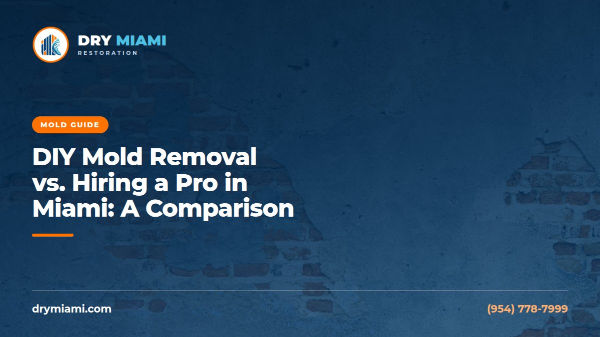 DIY Mold Removal vs. Hiring a Pro in Miami: A Comparison