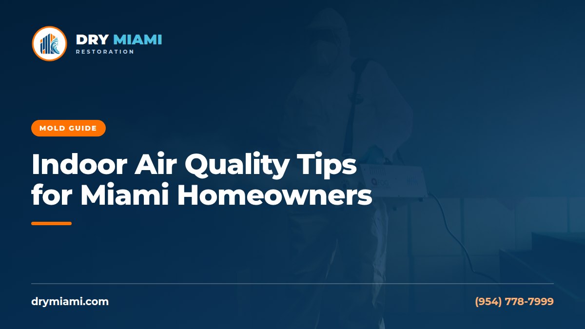 Indoor Air Quality Tips for Miami Homeowners